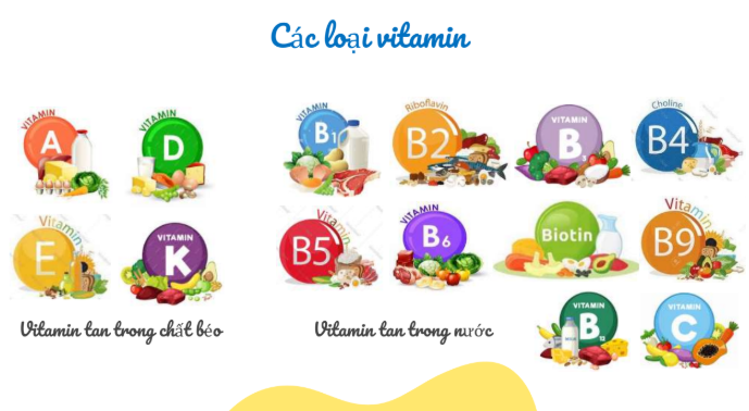 Lista över vitaminer. untitled.png