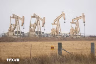 Giàn khoan dầu tại Texas, Mỹ. (Ảnh: THX/TTXVN)