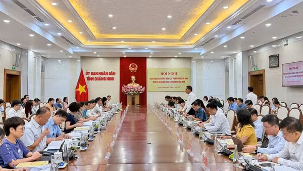 Quang cảnh buổi làm việc.