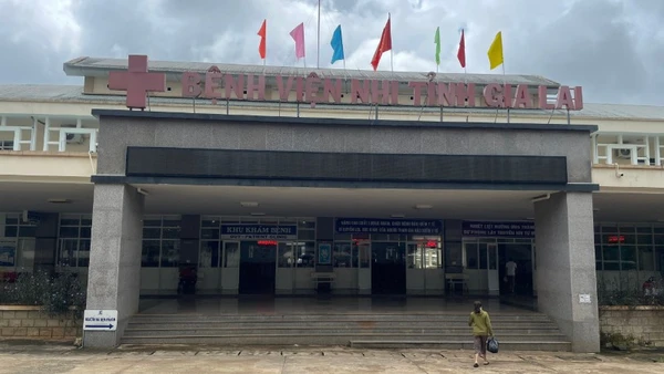 Hiện các em đang được điều trị tại Bệnh viện Nhi Gia Lai.