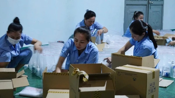 Hàng nghìn túi thuốc được vận chuyển đến Thái Nguyên và Cao Bằng phục vụ công tác khử khuẩn và phòng dịch.