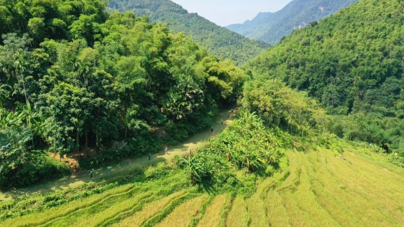 Tuyến đường dã ngoại trong nắng sớm. 4.jpg