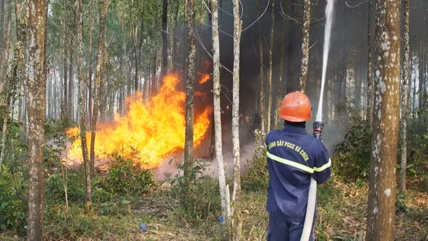 Độ ẩm giảm sâu, có thời điểm dưới 30%, khiến nguy cơ cháy rừng tăng cao, nhiều địa phương được cảnh báo ở cấp V - mức cực kỳ nguy hiểm. (Ảnh: Chinhphu.vn)