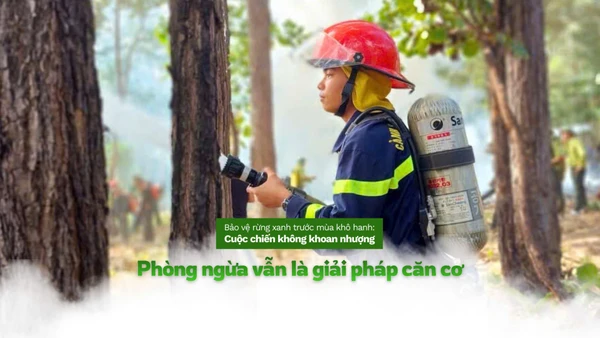 Mùa khô 2025-2026 đang đặt ra những thách thức chưa từng có đối với “lá phổi xanh” của đất nước.