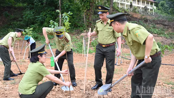 Trồng cây hưởng ứng Ngày Thế giới chống sa mạc hóa và hạn hán năm 2026.
