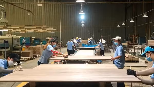 Chế biến gỗ xuất khẩu tại Công ty cổ phần gỗ Minh Dương (Bình Dương). (Ảnh: Vũ Hoàng)