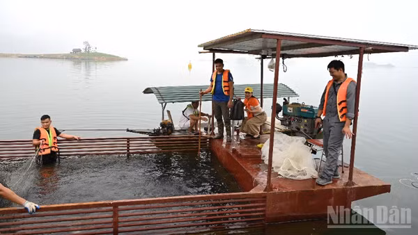 Miền bắc được đánh giá là khu vực có điều kiện thuận lợi nhất cả nước để phát triển nuôi trồng thủy sản hồ chứa.