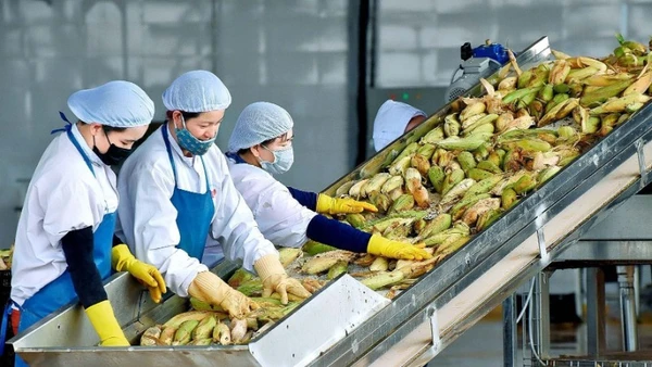 Hai tháng đầu năm 2026, xuất khẩu nông, lâm, thủy sản đạt 11,3 tỷ USD, tăng 17,1% so với cùng kỳ.