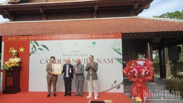 Hội Bảo vệ thiên nhiên và môi trường Việt Nam trao công nhận 12 cây cổ thụ là Cây di sản Việt Nam tại cho đại diện Khu nghỉ dưỡng chăm sóc sức khỏe SenNa.