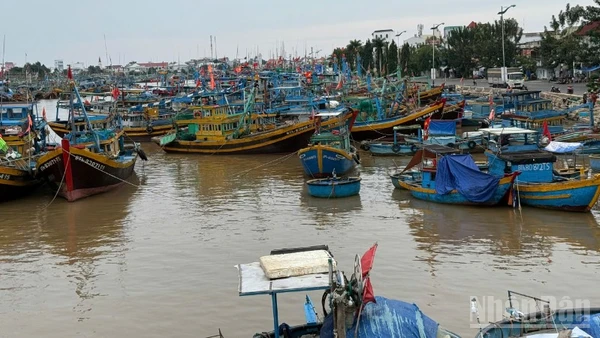 Ban Chỉ đạo Phòng thủ dân sự quốc gia đã yêu cầu các tỉnh, thành phố từ Đà Nẵng đến Khánh Hòa và các bộ, ngành liên quan khẩn trương triển khai các biện pháp ứng phó cấp bách với bão số 13.