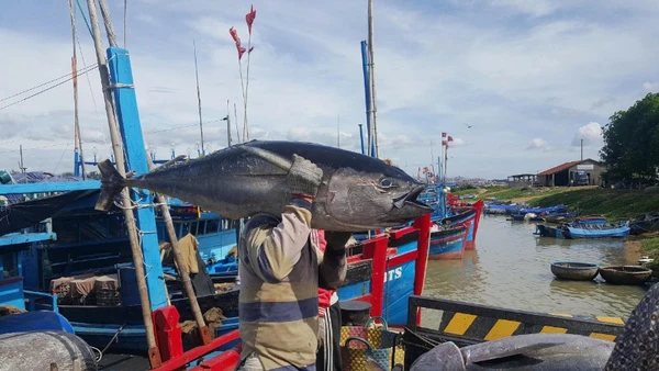 Tình trạng tàu cá vi phạm các lỗi phổ biến vẫn còn xảy ra tại một số địa phương.