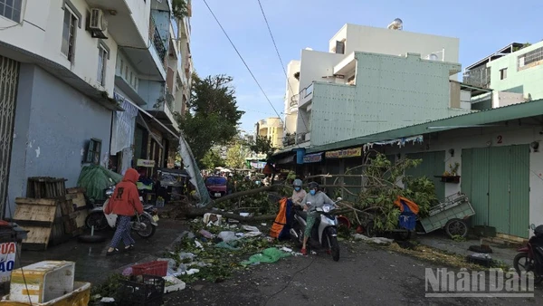 Tính đến 11 giờ ngày 7/11, bão số 13 đã gây thiệt hại nặng nề về người và tài sản tại các tỉnh Tây Nguyên và khu vực duyên hải Trung bộ.