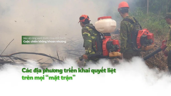 Mùa hanh khô, nguy cơ cháy rừng luôn rình rập, đe dọa “lá phổi xanh” của đất nước.