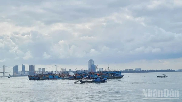 Ban Chỉ đạo Phòng thủ dân sự quốc gia đề nghị Ủy ban nhân dân các tỉnh, thành phố ven biển từ Quảng Ninh đến An Giang chủ động triển khai các biện pháp ứng phó, hạn chế thiệt hại.