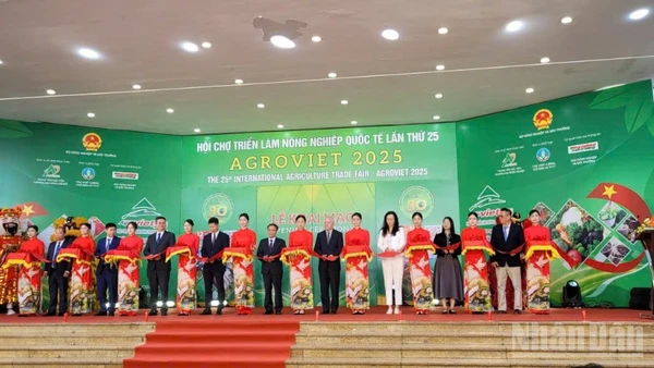 Khai mạc Hội chợ Triển lãm nông nghiệp quốc tế-AgroViet 2025 sáng 12/11.