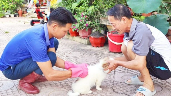 Năm 2024, cả nước ghi nhận 89 ca tử vong do bệnh dại, tất cả đều không tiêm phòng, chủ yếu do chó, mèo lây bệnh. (Ảnh: nhandan.vn)