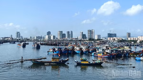 Đến chiều 3/7, hơn 56.000 tàu thuyền với trên 249.000 lao động đã được thông báo, hướng dẫn tránh bão; nhiều địa phương đã ban hành lệnh cấm biển, chủ động bảo đảm an toàn về người và tài sản.