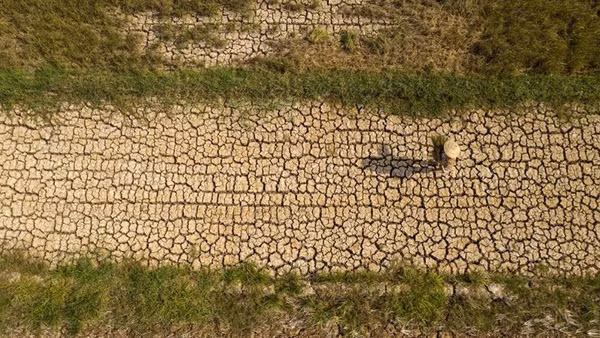 Bộ Nông nghiệp và môi trường nhận định hiện tượng El Nino sớm gây nguy cơ thiếu hụt nguồn nước trong thời gian tới. (Ảnh: TTXVN)