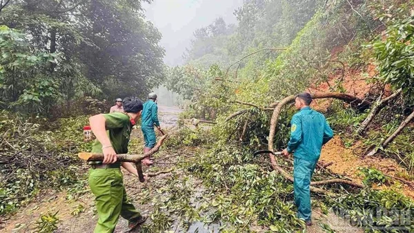 Mưa lớn diện rộng từ thành phố Huế đến Lâm Đồng gây lũ trên nhiều sông, làm hàng nghìn nhà dân bị ngập, hơn 3.300 ha cây trồng thiệt hại, 1 người tử vong tại Lâm Đồng.