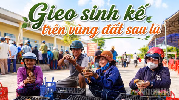 63 con bò giống, hơn 55.000 con gà, vịt giống cùng 100 chiếc xe đạp đã được trao tận tay người dân, học sinh vùng bị thiên tai.