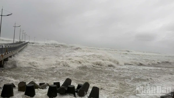 Theo Trung tâm Dự báo khí tượng thủy văn quốc gia, hồi 13 giờ ngày 8/11, bão Fung-wong đang hoạt động trên vùng biển phía đông miền trung Philippines, có sức gió mạnh cấp 13, giật cấp 16.