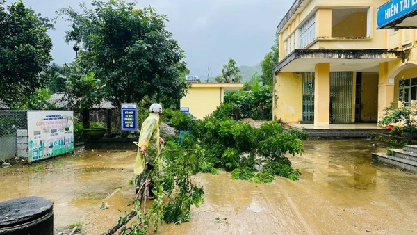 Tính đến 17 giờ ngày 8/11, bão số 13 đã gây thiệt hại nặng nề tại khu vực Tây Nguyên và tỉnh Quảng Ngãi.