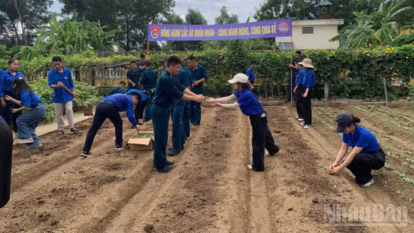 Tuổi trẻ hai đơn vị cùng tham gia các hoạt động tăng gia sản xuất, bảo vệ môi trường.