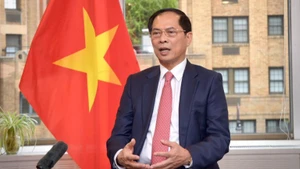 Phó Thủ tướng, Bộ trưởng Ngoại giao Bùi Thanh Sơn. (Ảnh: Bộ Ngoại giao cung cấp)