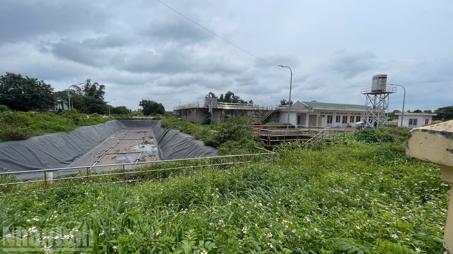 ndo_bl_img-7710.jpg