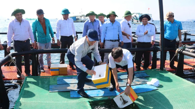 Thời gian qua, Viện III đã góp phần quan trọng thúc đẩy phát triển nuôi biển khu vực Nam Trung Bộ.