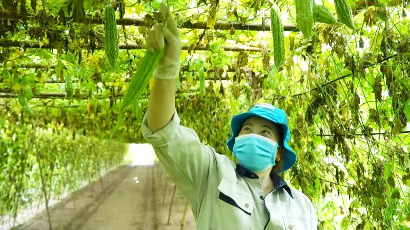 Hợp tác xã kỳ vọng sẽ có nhiều chính sách hỗ trợ hơn trong chuyển đổi số.