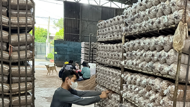 Việc chuẩn hóa thủ tục nhằm tránh gián đoạn quyền sở hữu và bảo đảm sản phẩm địa phương tiếp tục được sử dụng nhãn hiệu hợp pháp trong hoạt động sản xuất-kinh doanh.