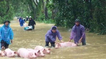 Sau mưa lũ nguy cơ các loại dịch bệnh bùng phát. 