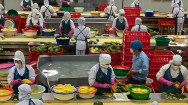 Sáu tháng đầu năm 2025, kim ngạch xuất khẩu nông, lâm, thủy sản đạt 33,84 tỷ USD, tăng 15,5% so với cùng kỳ năm 2024.