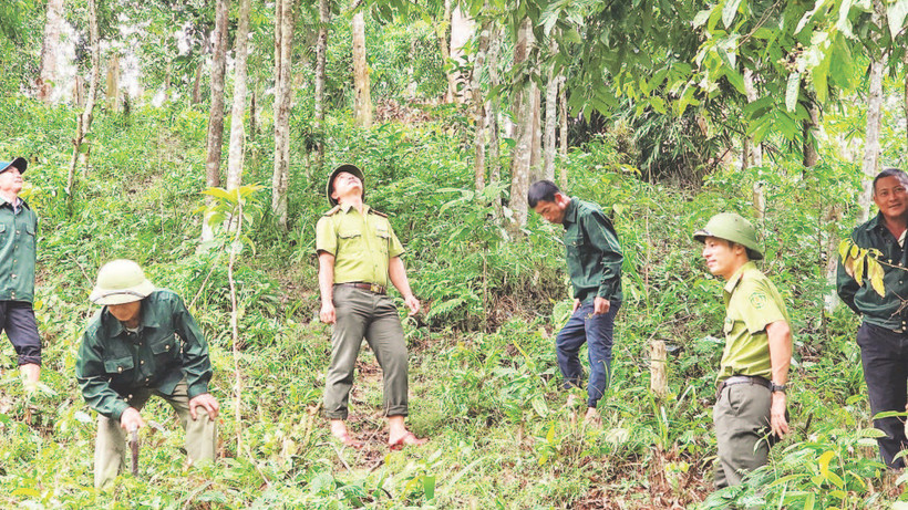 Cán bộ kiểm lâm Vườn quốc gia Xuân Liên và đội bảo vệ rừng thôn Thác Làng trong một chuyến tuần tra.