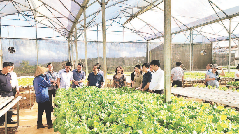 Phát triển các mô hình nông nghiệp góp phần nâng cao thu nhập, mức sống cho nhân dân miền núi Quảng Ngãi.