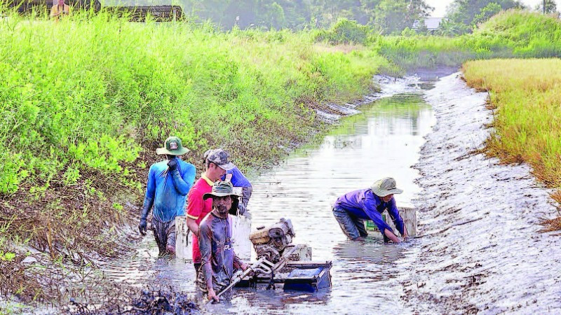 Người dân dùng máy đuôi tôm để quậy bùn dưới đáy mương. Tôm bị ngộp sình sẽ nổi đầu và tấp vào bờ, giúp việc thu hoạch nhanh chóng.