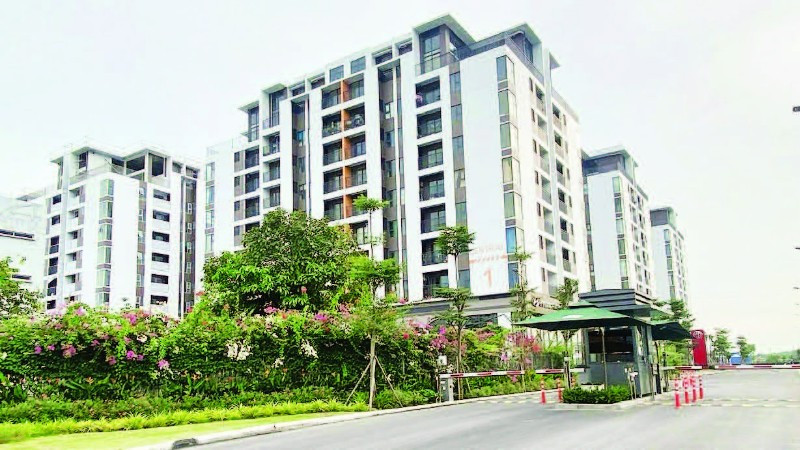 Một dự án nhà ở xã hội ở Quận 7 (cũ) vừa hoàn thành và đưa vào sử dụng.