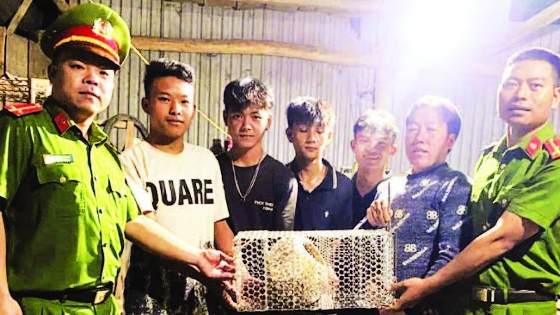 Nhóm thanh niên phường Bắc Gia Nghĩa bàn giao cá thể tê tê cho lực lượng công an phường.