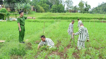 Phạm nhân tại Trại tạm giam Công an tỉnh Lạng Sơn trong giờ lao động.