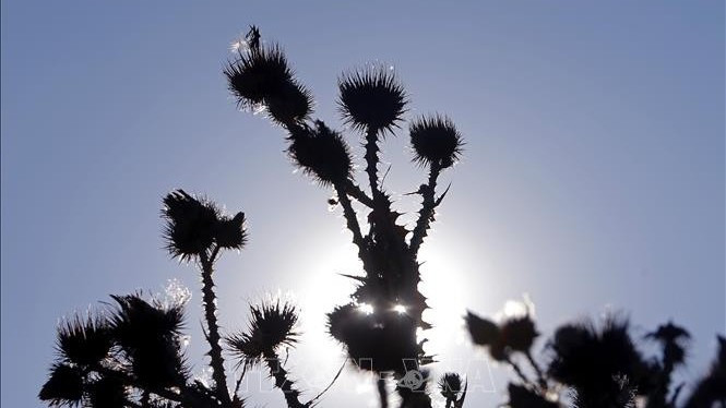 [Quiz] Hiện tượng thời tiết cực đoan nào dưới đây không liên quan trực tiếp đến biến đổi khí hậu? ảnh 1