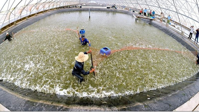 [Quiz] Loại thực phẩm nào gây phát thải cao nhất khi sản xuất? ảnh 1