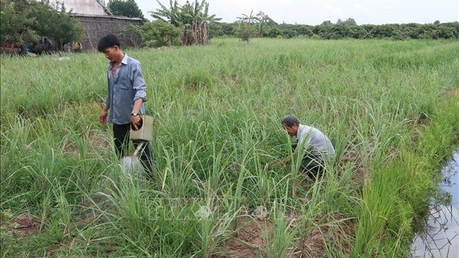 [Quiz] Chính phủ Việt Nam ban hành Chiến lược quốc gia về biến đổi khí hậu đến năm bao nhiêu? ảnh 1