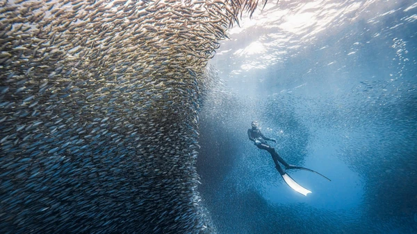 Ảnh: NGUYỄN NGỌC THIỆN