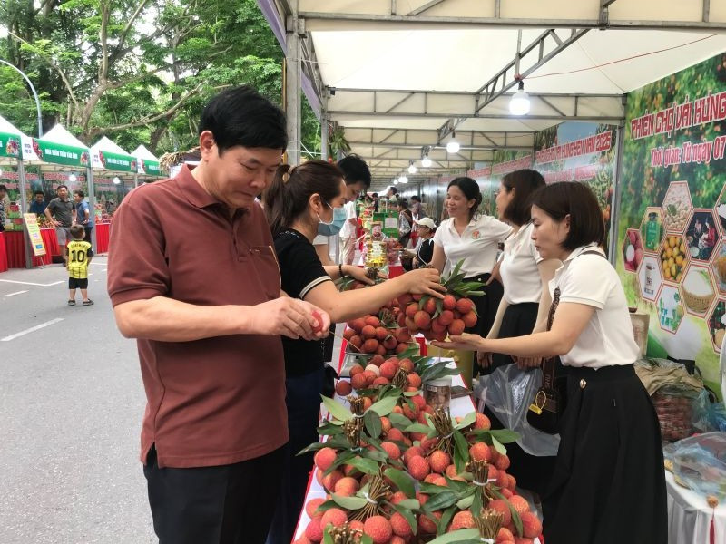 Khách hàng mua vải trứng tại phiên chợ vải năm 2025. 7-6-gian-hang-ban-vai-trung-hung-yen.jpg
