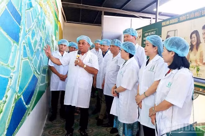 Ông Nguyễn Quang Duy, Phó Chủ tịch Thường trực Hội Doanh nhân trẻ Khánh Hòa, giới thiệu tiềm năng của địa phương với đối tác, khách hàng. (Ảnh: DTGROUP)