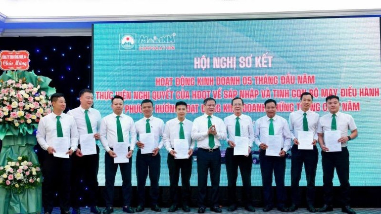 (Ảnh: Tập đoàn Mai Linh) ml4.jpg