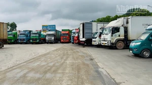 Các phương tiện tại khu vực bãi Xuân Cương, Cửa khẩu Quốc tế Hữu Nghị, tỉnh Lạng Sơn. 