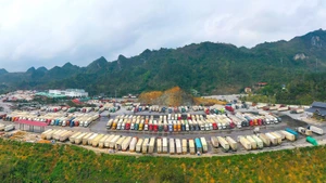 Các phương tiện xuất, nhập khẩu tập trung tại khu vực Cửa khẩu quốc tế Hữu Nghị, tỉnh Lạng Sơn.