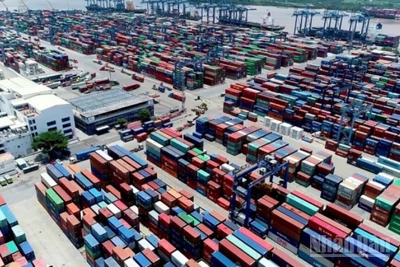 Ảnh minh họa: Cảng Cát Lái.